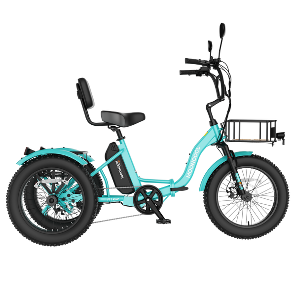 Mooncool FT1 fat tire electric trike